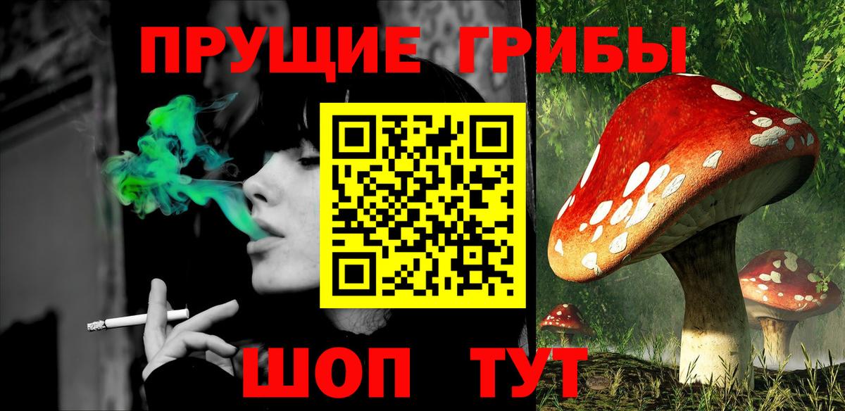 Галлюциногенные грибы Psilocybine cubensis  Вход с VPN  Псилоцибиновые грибы Cubensis  где продают   Хасавюрт 